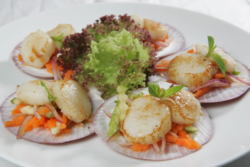 Gỏi sò điệp hoa mai