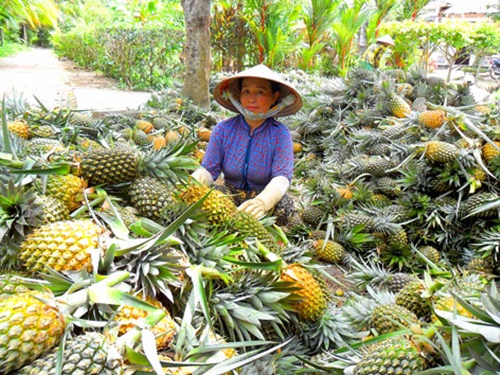 Khóm Cầu Đúc
