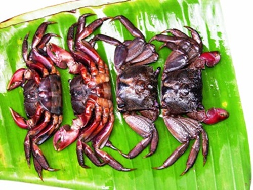 Đến với Rạch Gốc ăn Ba Khía ngon