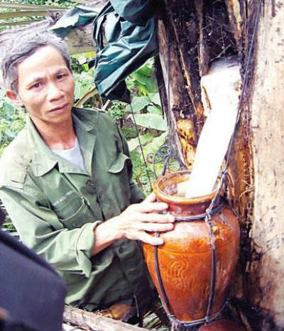 Rượu cây