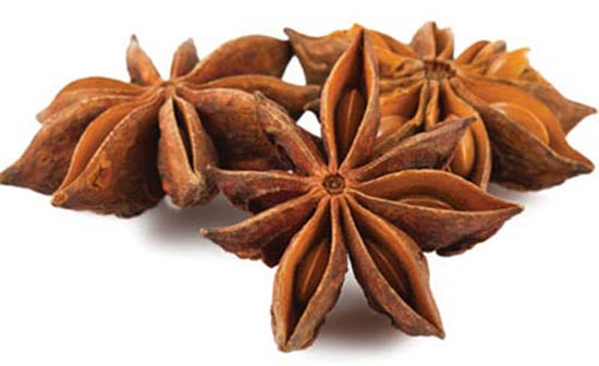 Quế và hồi