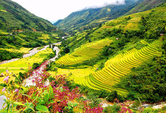 Điện Biên