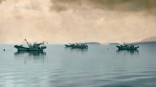 Những con thuyền đánh cá trên vịnh Suncheon.