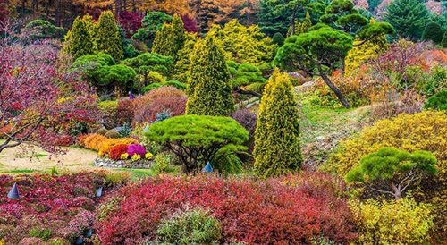 Khu vườn hoa tuyệt đẹp rộng 30.000 m2 ở Gapyeong, Gyeonggi.