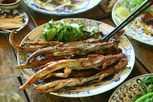Thịt dông