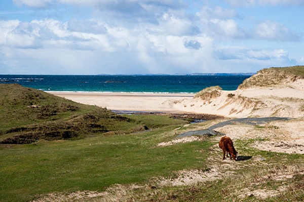 Colonsay là một trong những hòn đảo đẹp và nổi tiếng nhất Scotland. Cuộc sống nơi đây được đánh giá là rất thanh bình, phù hợp cho những chuyến du lịch nghỉ dưỡng