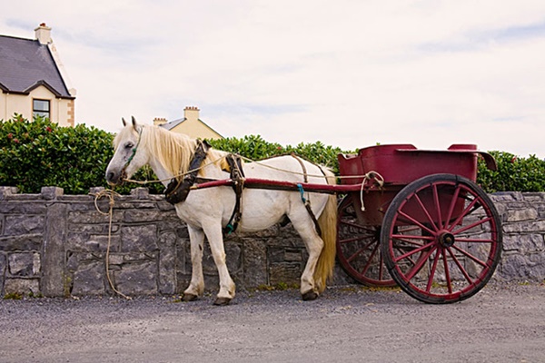 Inishmore là một hòn đảo thuộc quần đảo Aran nằm ở bờ biển phía tây của Ireland. Nơi đây mang một vẻ đẹp gồ ghề, ảm đảm nhưng vẫn thu hút khách du lịch tới thăm quan mỗi năm khá đông.
