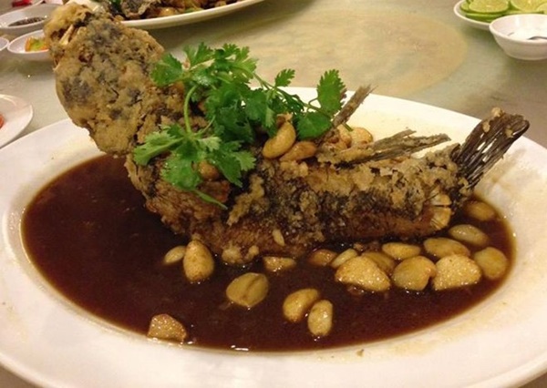Cá Bống Tượng