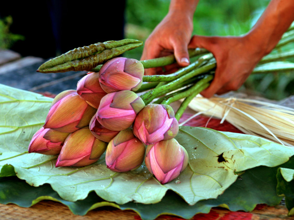 Những bó sen đầu tiên trong ngày đi khắp những con phố Hà Nội mang đến cho những người yêu sen.
