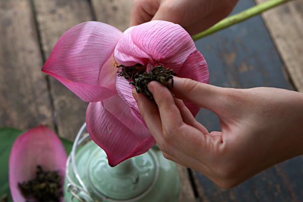 Chè ướp ngay trong bông sen giá 30 nghìn/bông.
