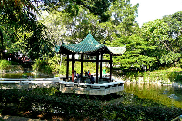  Đi bộ đến công viên Cửu Long