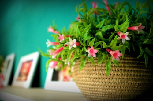 Những món đồ hoài niệm ở cà phê nhà kho 