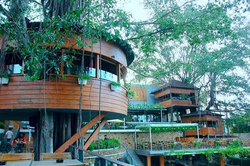 Quán cà phê trên cây độc đáo nhất Sài Gòn 