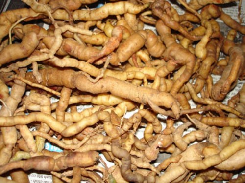 Các đặc sản được lòng du khách ở Hạ Long