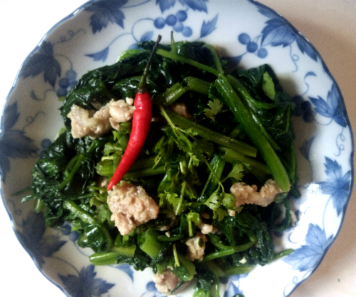 Cải bó xôi xào thịt dinh dưỡng cho mùa thi
