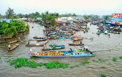 ẩm nang cho chuyến dã ngoại về miệt vườn Sóc Trăng