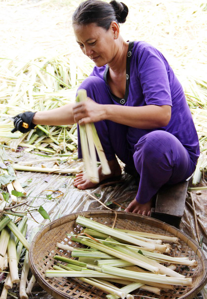 Chua giòn dưa bồn bồn Cà Mau