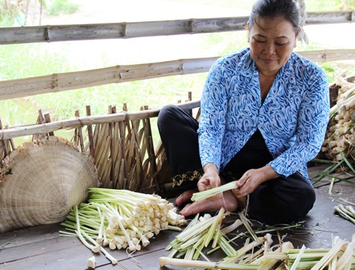 Chua giòn dưa bồn bồn Cà Mau