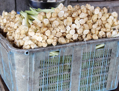 Chua giòn dưa bồn bồn Cà Mau