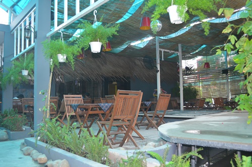 Khai trương Tree Coffee giảm 10%