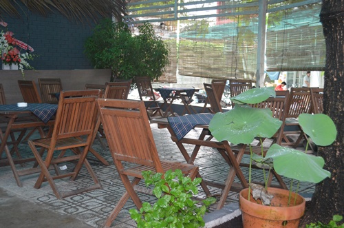 Khai trương Tree Coffee giảm 10%