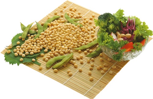 Khúc biến tấu từ đậu nành cho ngày hè