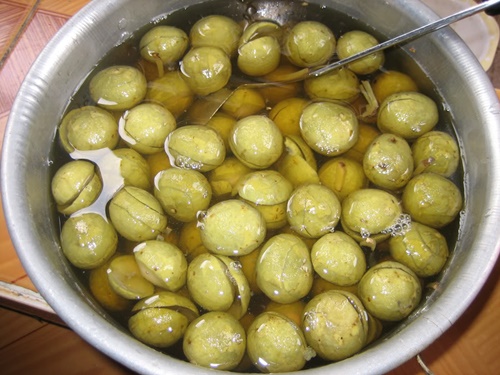 Ngất ngây mùa sấu Hà Nội