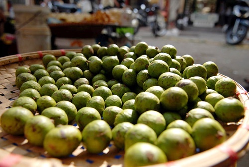Ngất ngây mùa sấu Hà Nội