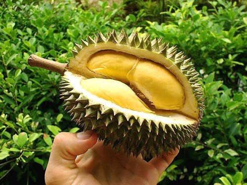 Những đặc sản Việt Nam khiến khách Tây khiếp sợ