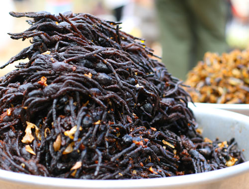 1. Nhện chiên