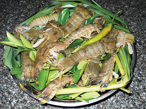 Tôm tít đậm vị biển cả