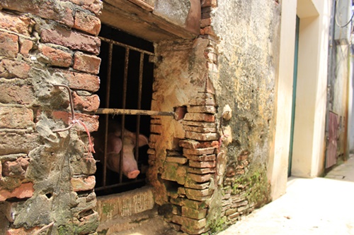 Về Thổ Hà ăn bánh đa, ngắm nhà cổ 