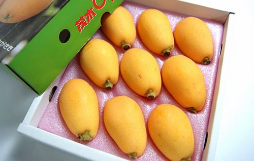6-loai-hoa-qua-moc-dai-o-tay-ve-viet-nam-thanh-cua-hiem