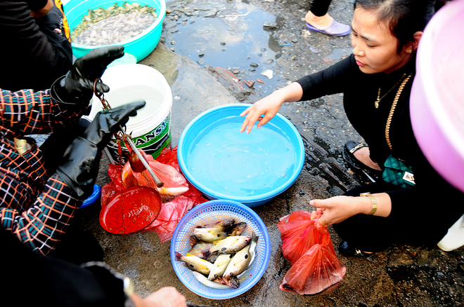 Hải sản tươi rói ở chợ cá cảng Hạ Long