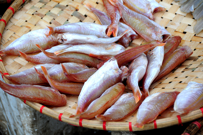 Hải sản tươi rói ở chợ cá cảng Hạ Long