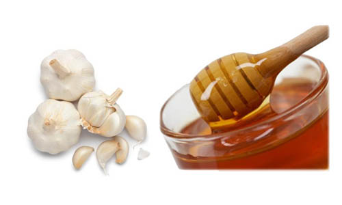Tỏi và mật ong trong cao tỏi nghệ