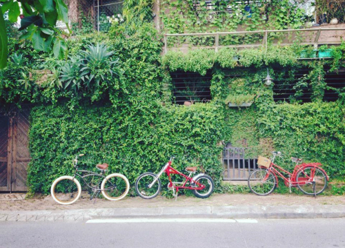 nhung-con-pho-ten-hoa-o-ha-noi-2
