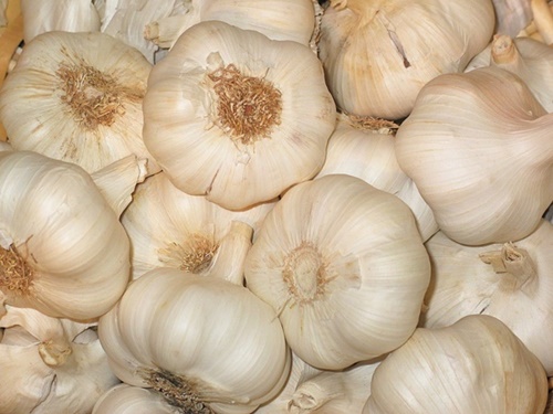 Cao Tỏi Nghệ Lá Phổi Xanh